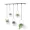 Umbra White & Black Triflora Hanging Planter Set